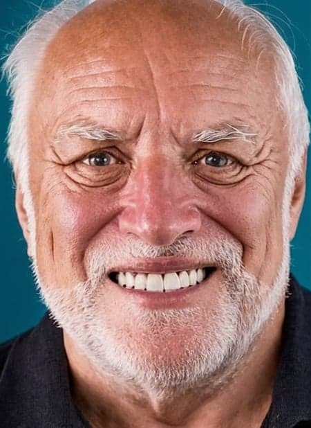 Hide The Pain Harold