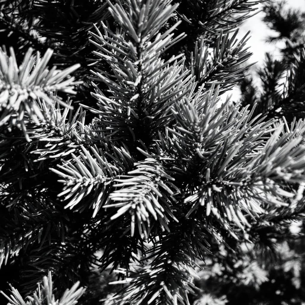 AI generated: pine tree black and white
