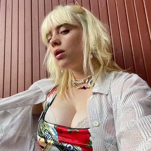 AI generated: Billie Eilish nude, full body, chubby, big boobs