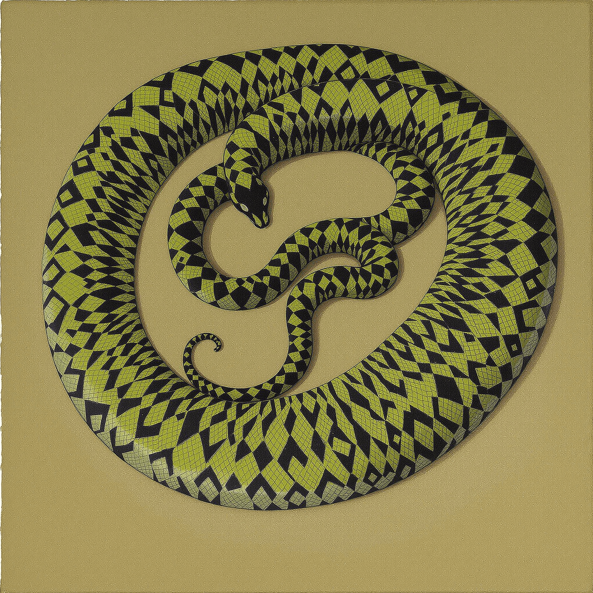 AI generated: A green and black reticulated python has slithered itself into a perfect figure eight as it lies in ...