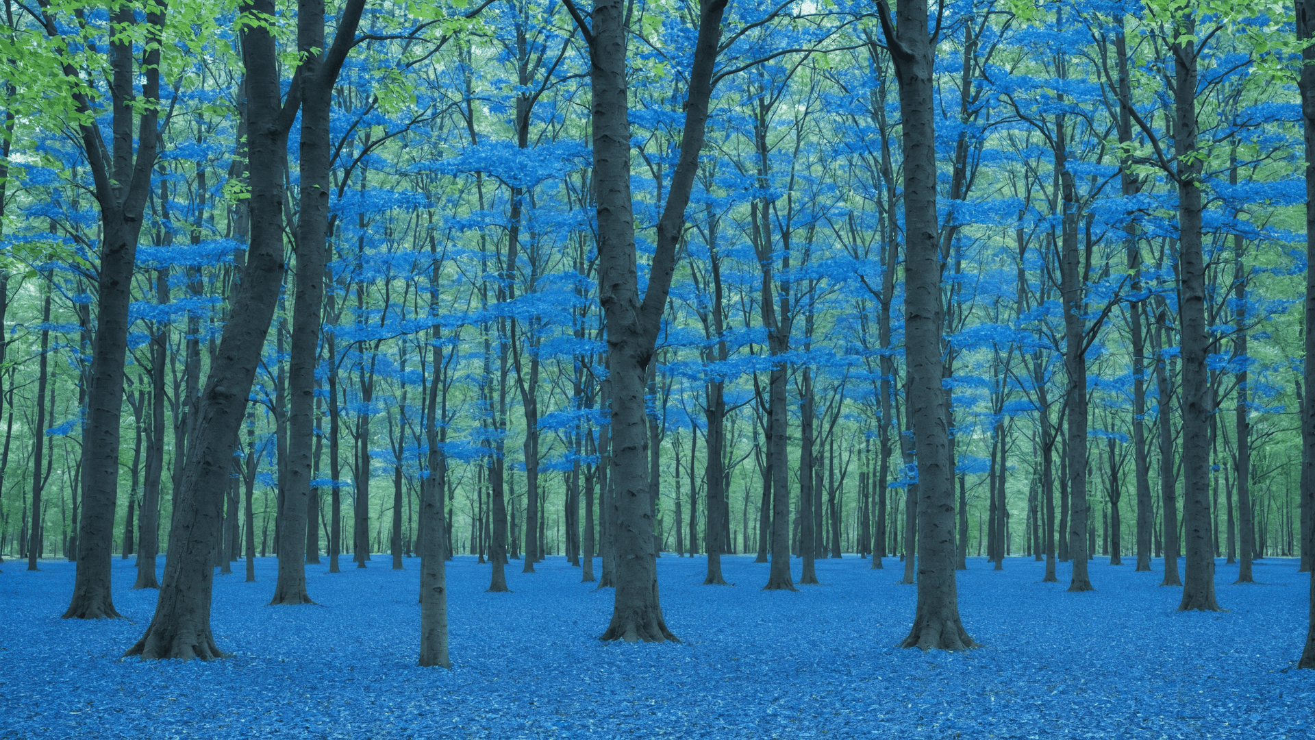 AI generated: a forest with blue trees, blue leaves on the ground