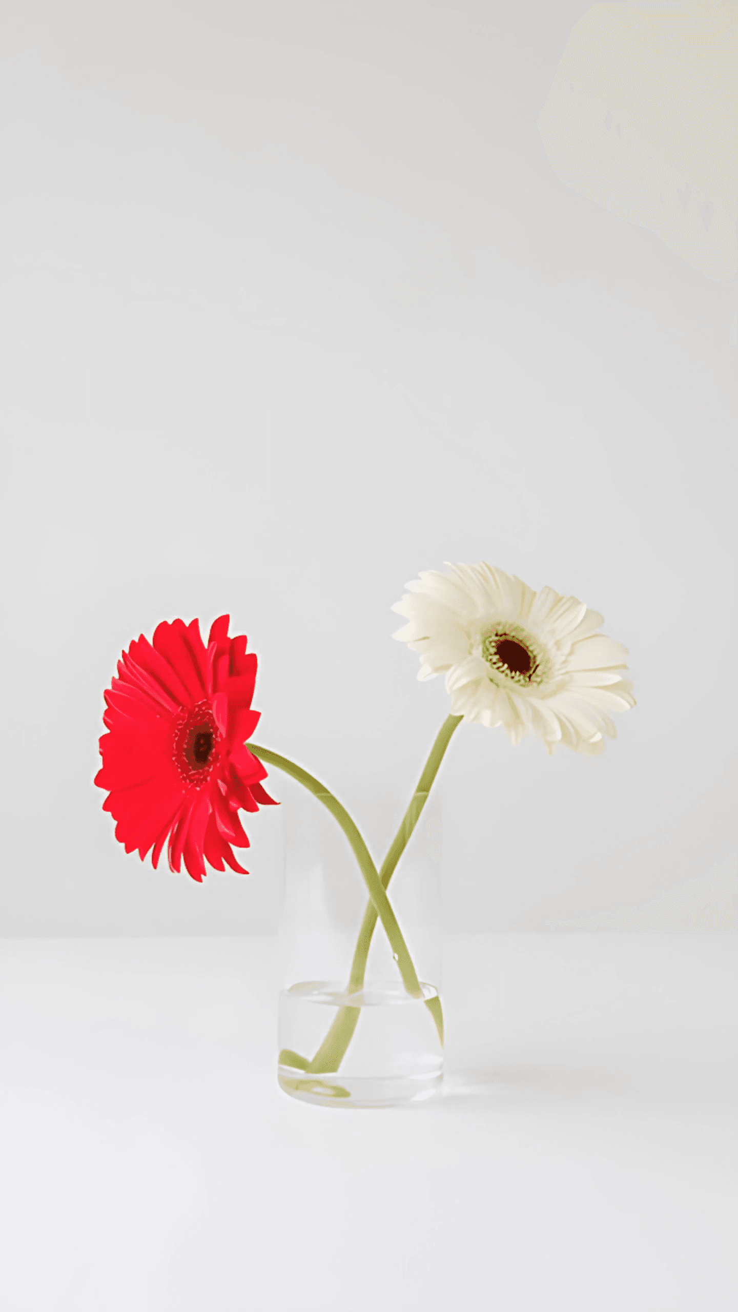 AI generated: turn this image without water on the glass and Fade the flowers