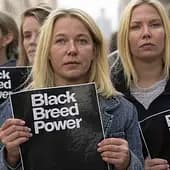 BlackBreedPower's avatar