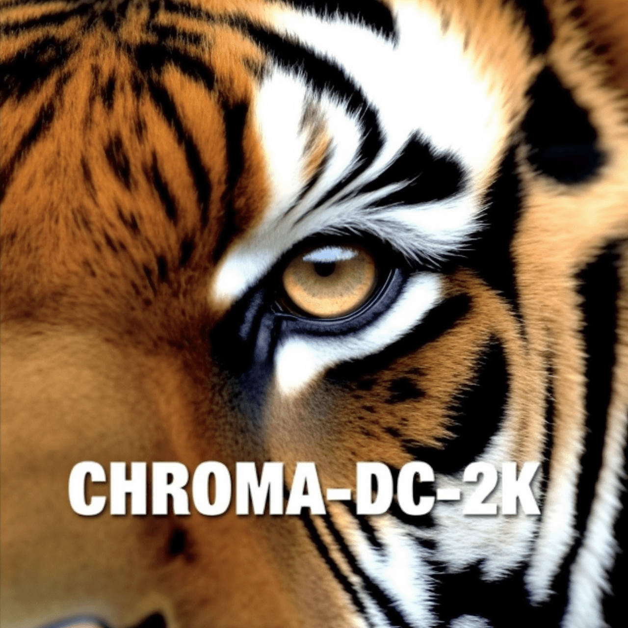 Chroma-Flash-Heun-pruned - Image 2