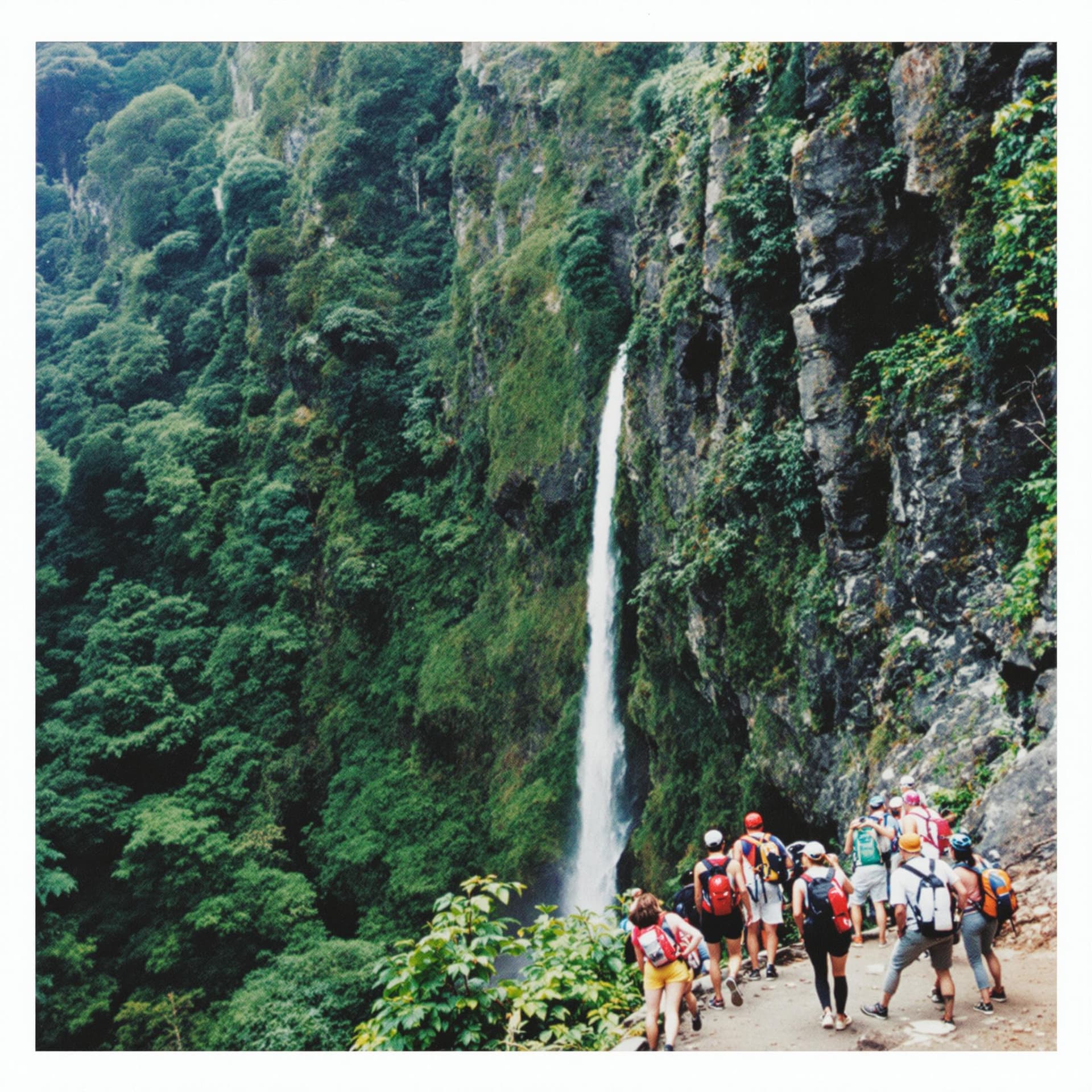 AI generated: madeira hiking, team building retreat, corporate retreat, cliff scenario, lush forest, polaroid, gra...