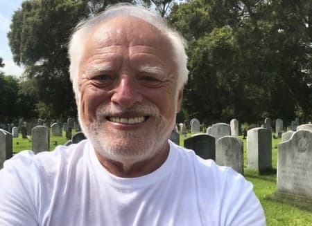 Hide The Pain Harold - Image 3