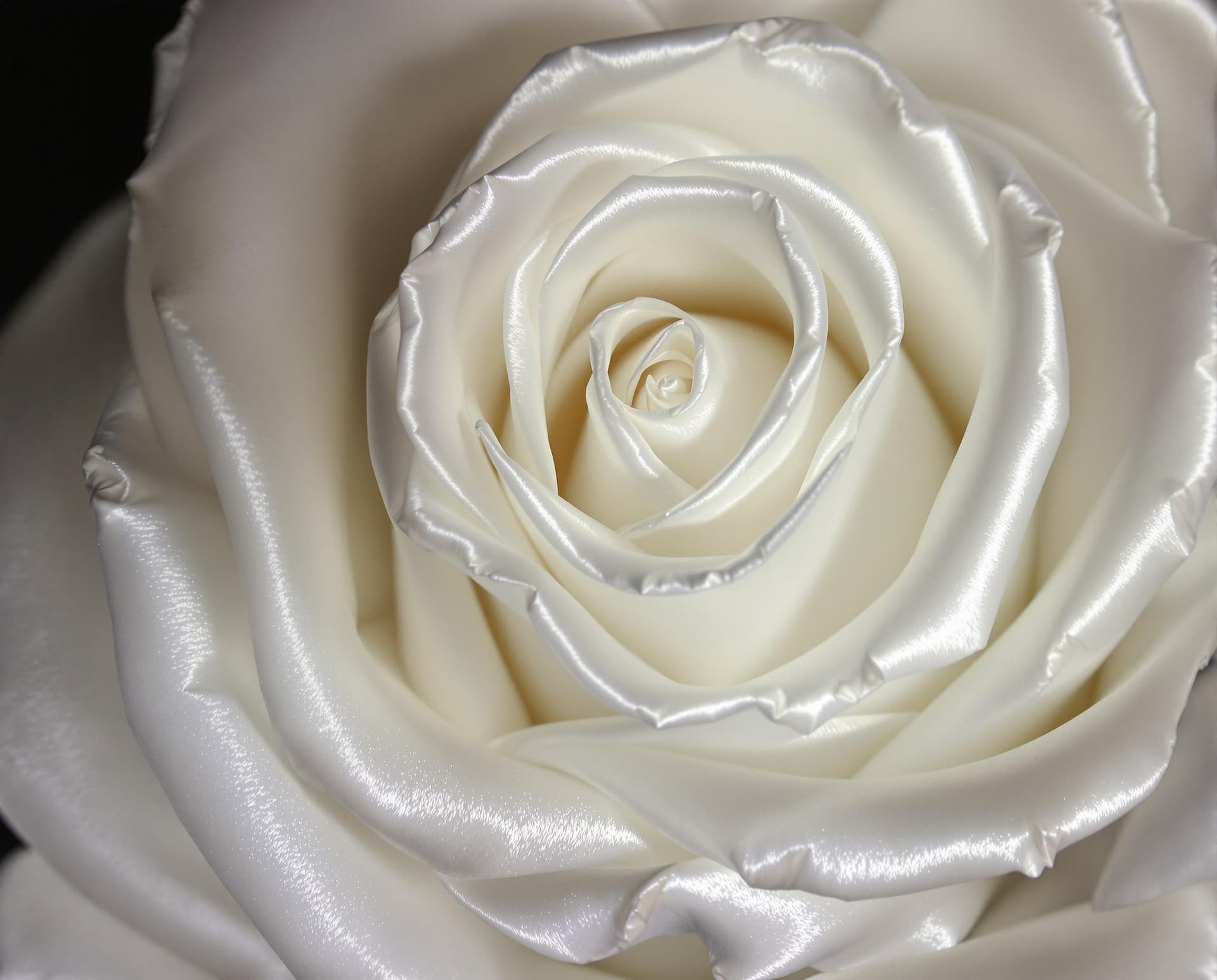 AI generated:  a rose made of white satin and lace,close up view,very fine textures and details,light reflections,