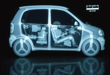 X-Ray - Image 2
