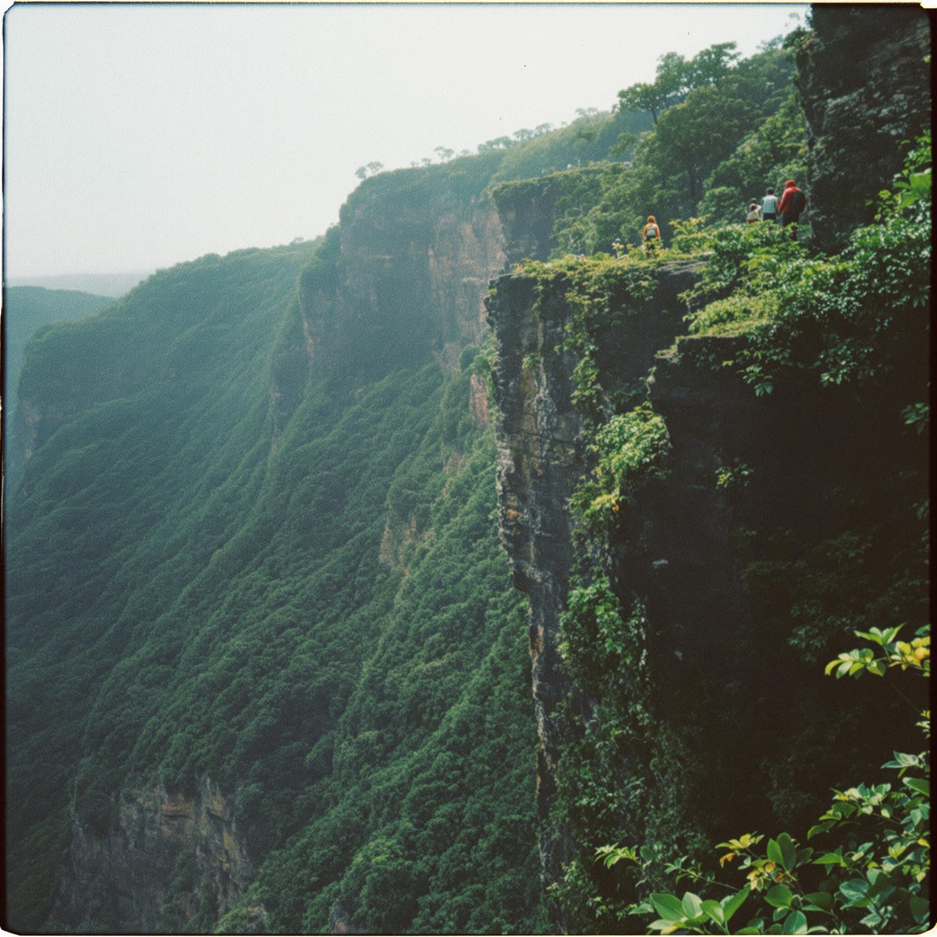 AI generated: madeira hiking, team building retreat, corporate retreat, cliff scenario, lush forest, polaroid, gra...