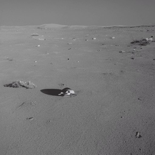 AI generated: Fish on the moon