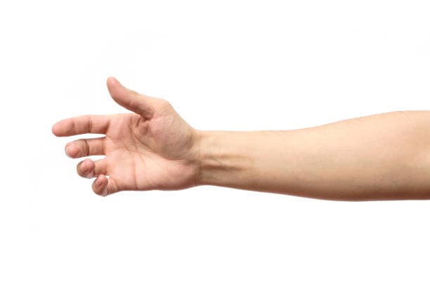 Upload Your Body Part
