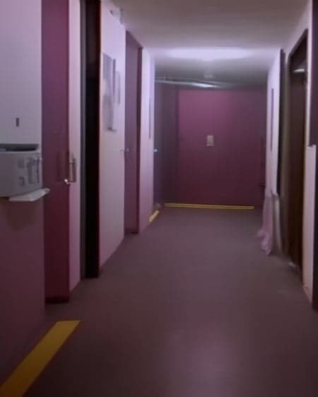 SNVHS_V1 - Image 2
