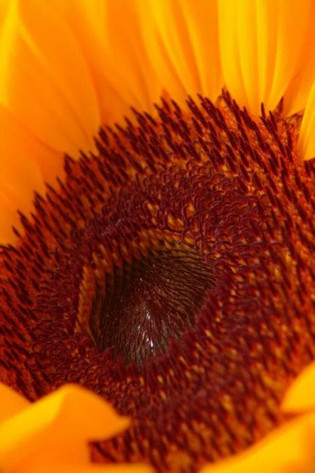 texture03 - Image 5