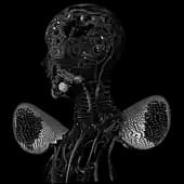 3a9f848623e's avatar