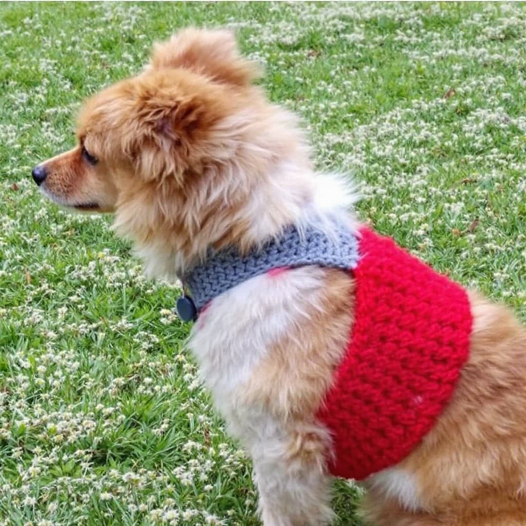 AI generated: prompt d'un colier pour chien au crochet



























































...