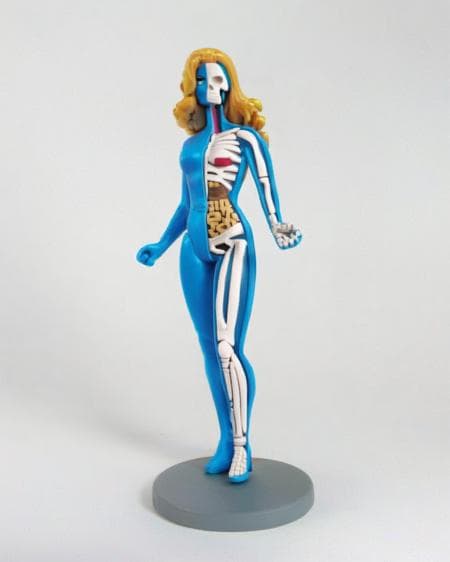 Skeleton Toy - Image 6