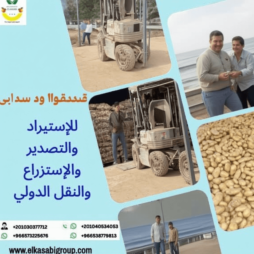 AI generated: 🌱 كل استثمار يبدأ بحلم…

في مكان ما، تحت شمس دافئة وعلى أرض خصبة، بدأنا الحكاية… لم تكن مجرد زراع...