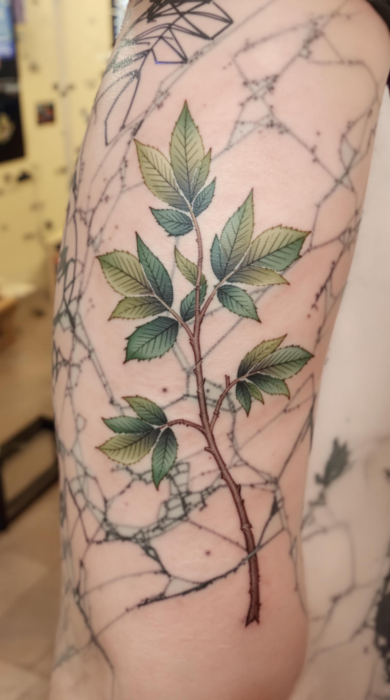 AI generated: 7. **Weißer Marmor mit grünen Linien und Eichenblättern als Tattoo.**  



  


