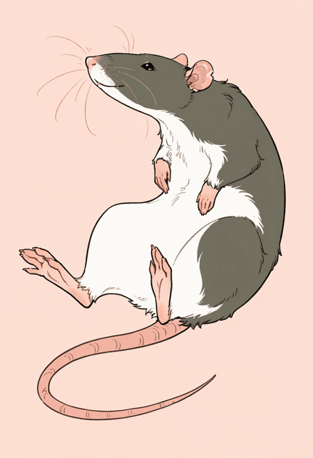 Illustrious Animals - Rat - Image 3