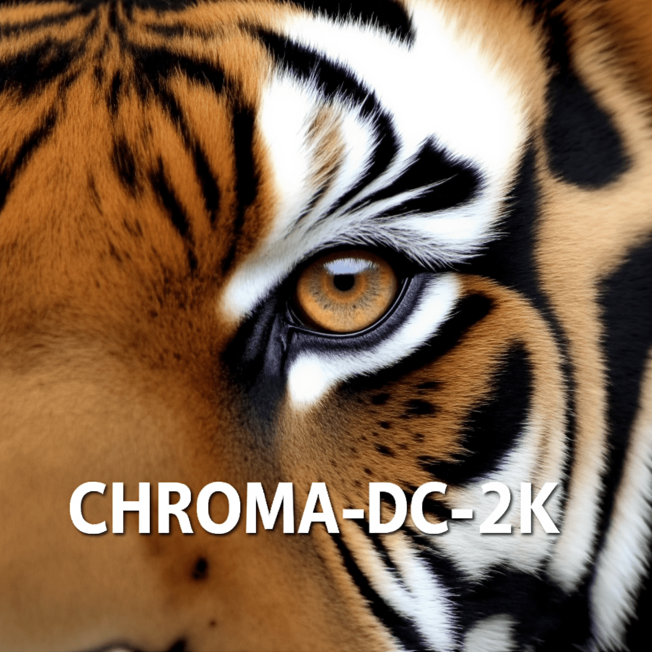 Chroma-Flash-Heun-pruned