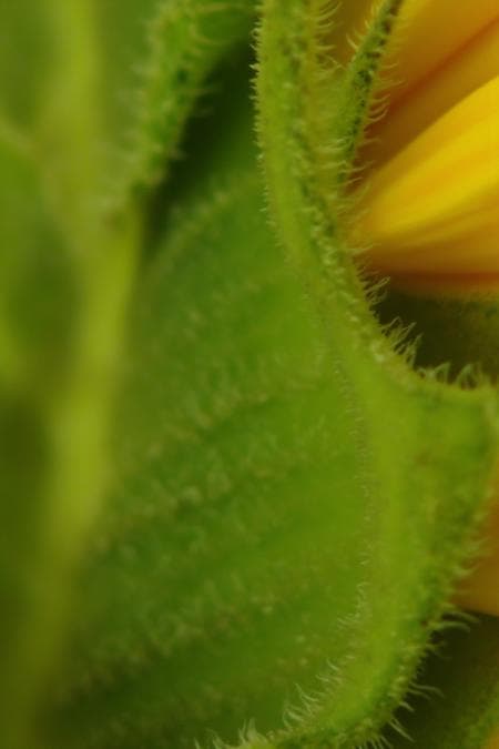 texture03 - Image 3