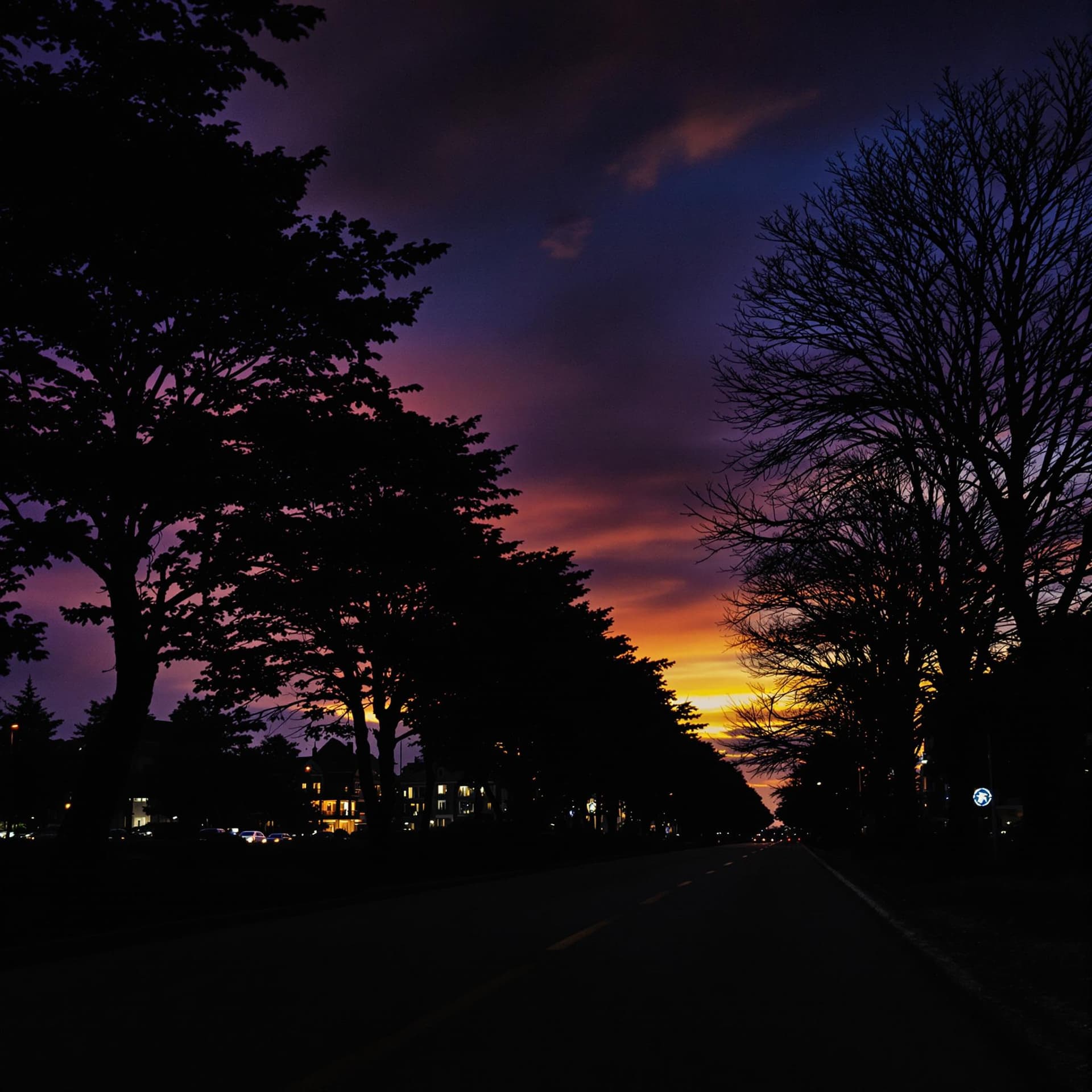 AI generated: a beautiful night include road trees