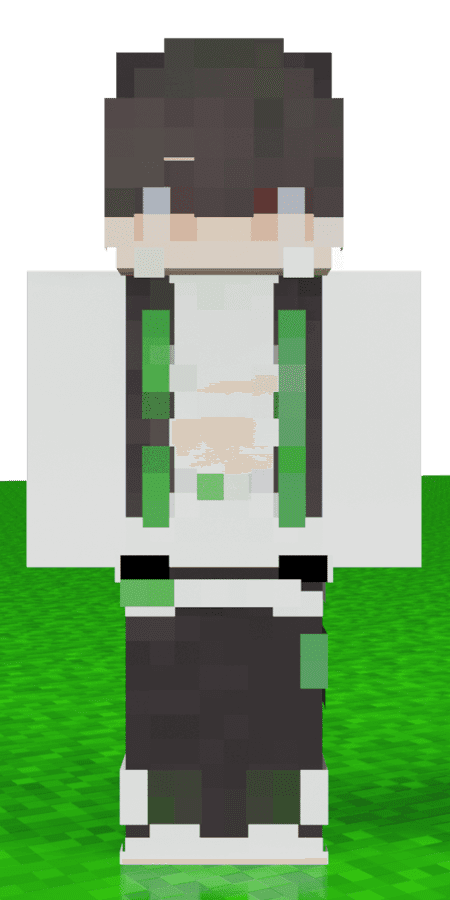 MinecraftSkin - Image 2