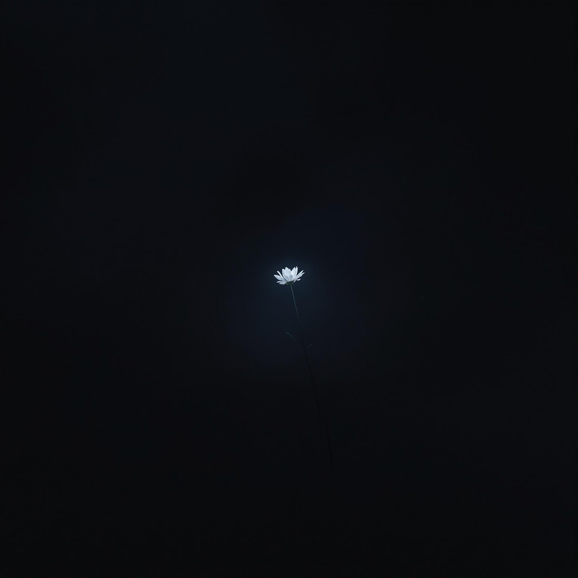 AI generated: A dark, moody shot of the flowers from Tamayubo’s garden. The camera slowly zooms in on a single flo...