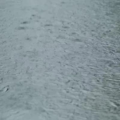 AI generated video: it rains on the landscape
