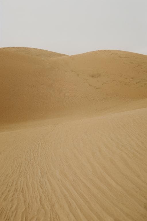 Kodak Vision | Film stock | 50D 250D 200T 500T