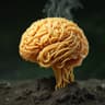 @brainnoodles