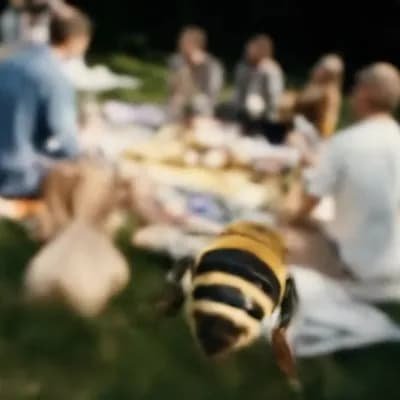 AI generated video: Third person view from behind a bee as it flies really fast around a backyard bbq