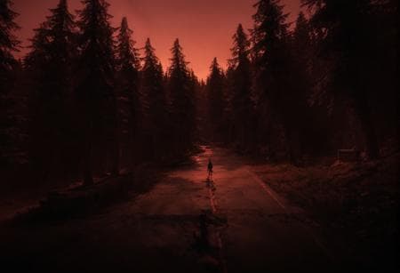 0927 Blood Forest