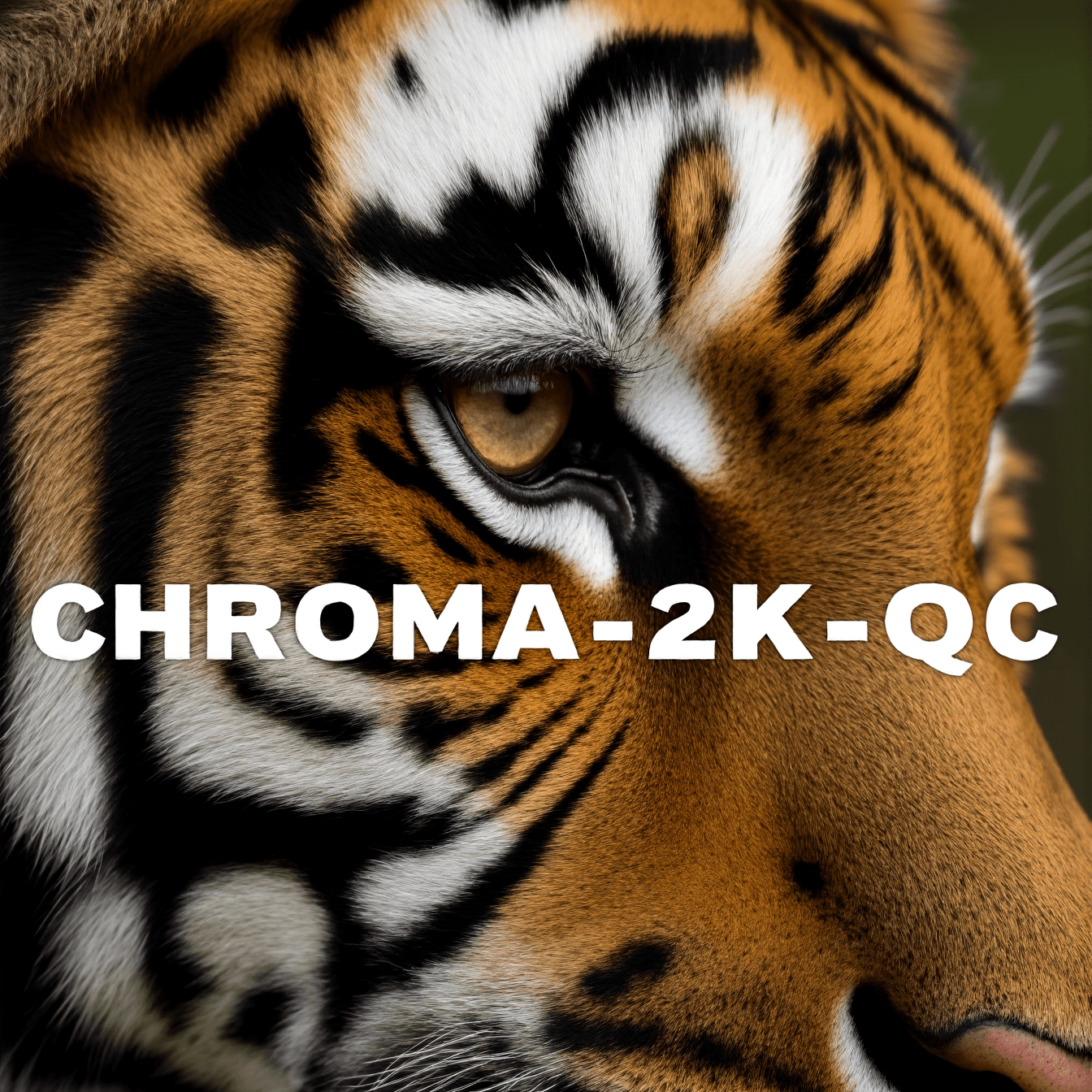 Chroma-2K-QC - Image 4