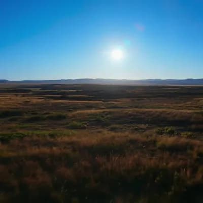 AI generated video: camera moves towards the horizon