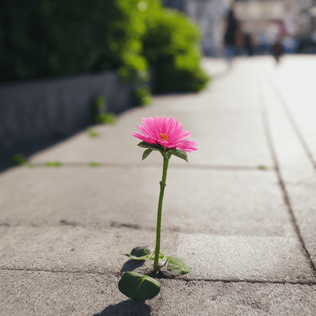 AI generated: A flower growing on the concrete of a sidewalk, closeup shot, minimalism, photo realism, stock photo...
