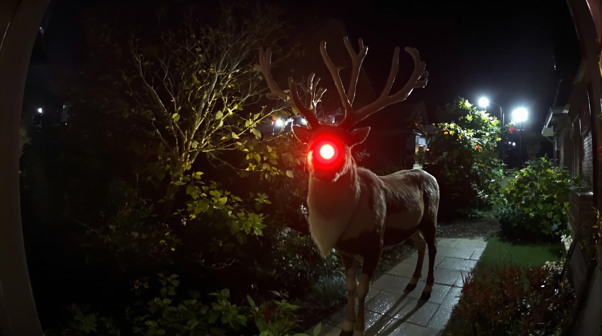 AI generated: highly detailed hyper realistic reindeer with a glowing red nose stood in a front garden, shot on a ...