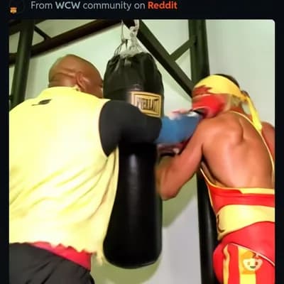 AI generated video: They start taking turns hitting the punching bag, then flexing together smiling.