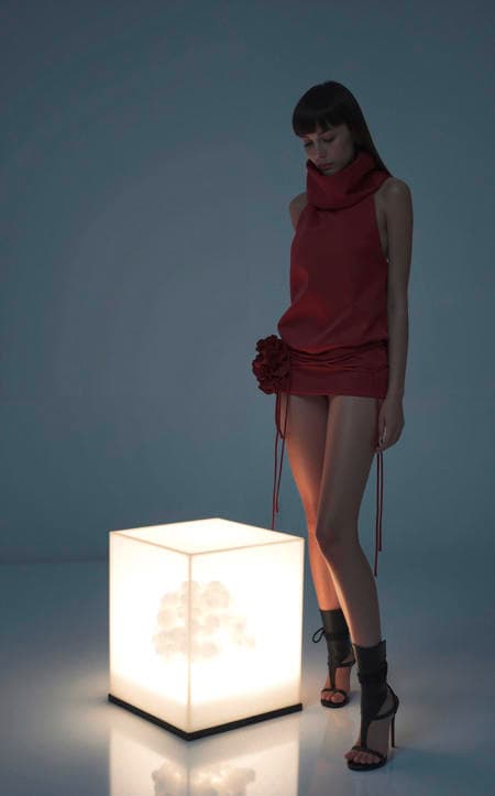 Fanci Club - Collection [Flux] - Image 3