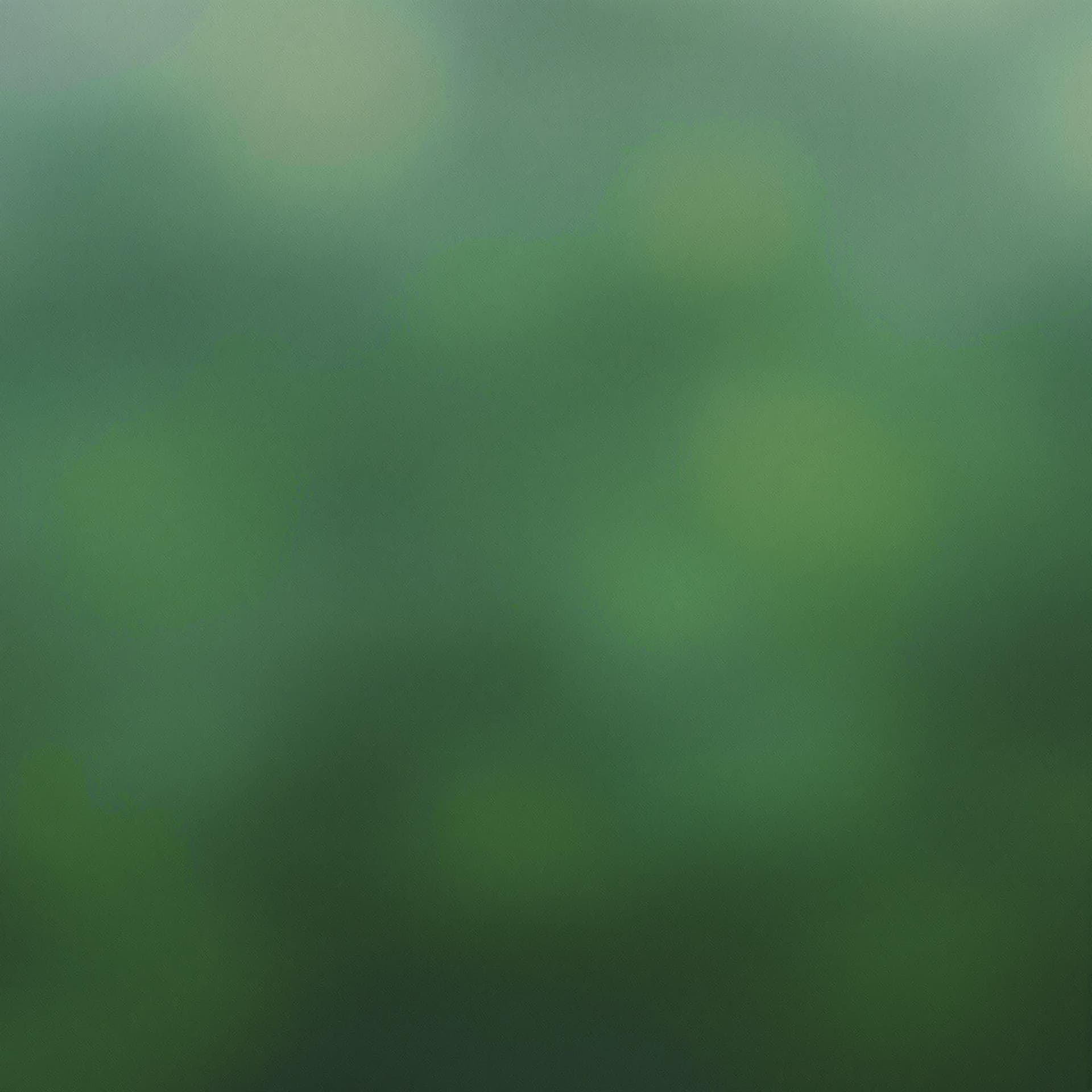 AI generated: The lighting is soft and diffused, suggesting early morning or twilight. There's a misty, ethereal q...