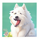 AI generated: samoyed dog