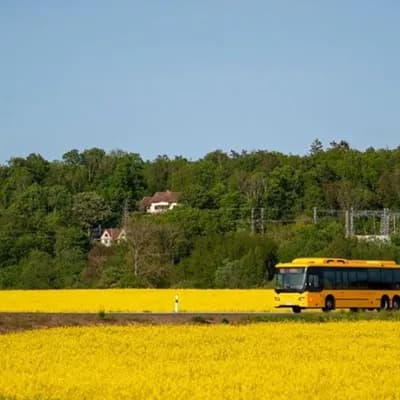AI generated video: Let the bus drive