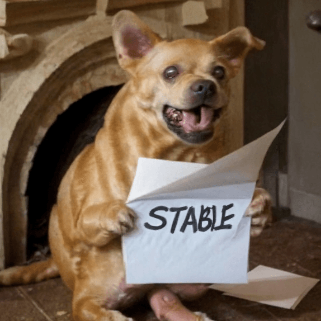 AI generated: ("STABLE"),a photo of weirog a dog holding (a piece of paper with ((letters "STABLE"))), <lora:weiro...