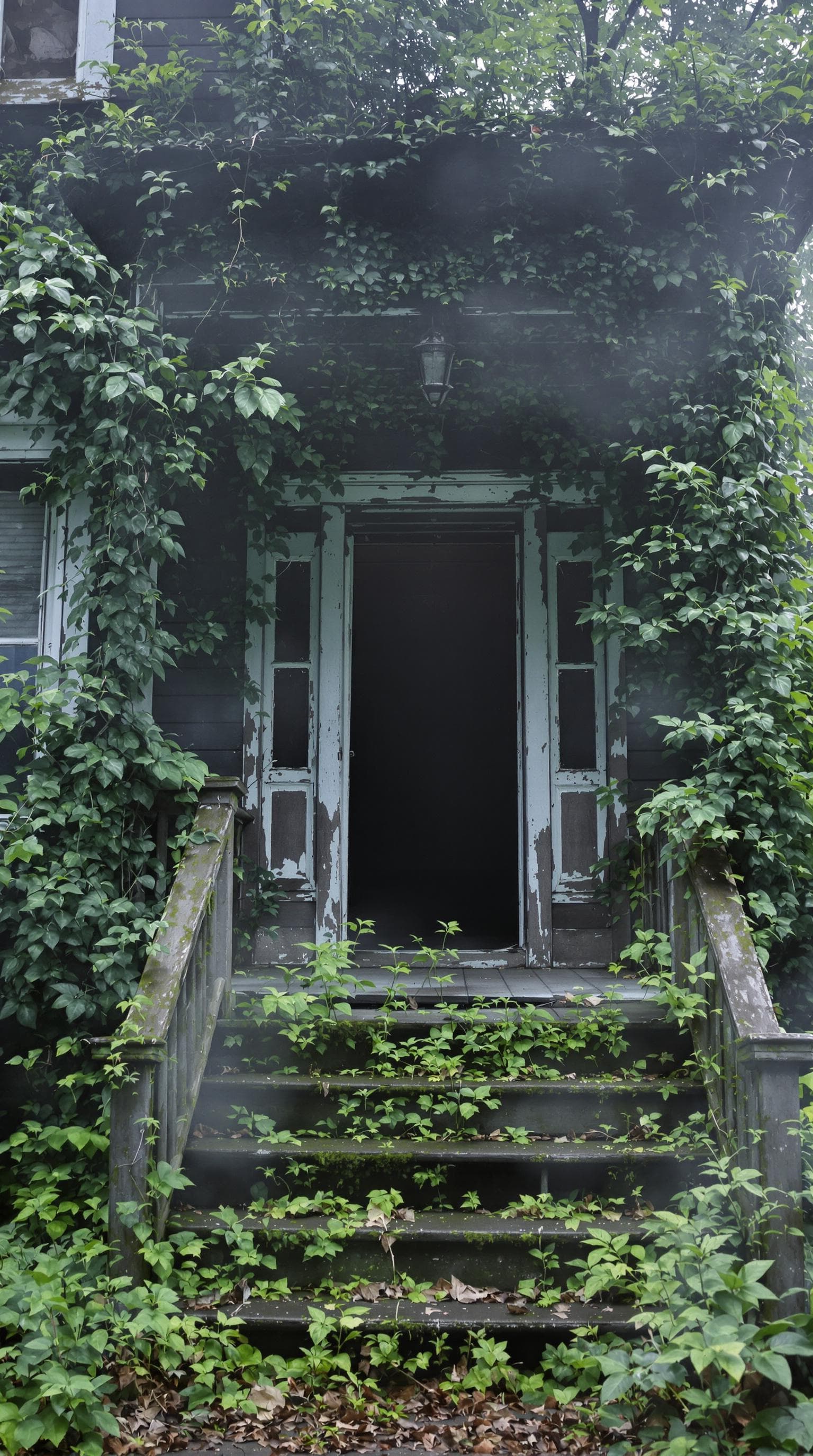 AI generated: A hyper-realistic close-up view of the entrance to an abandoned house in the forest, captured in sof...