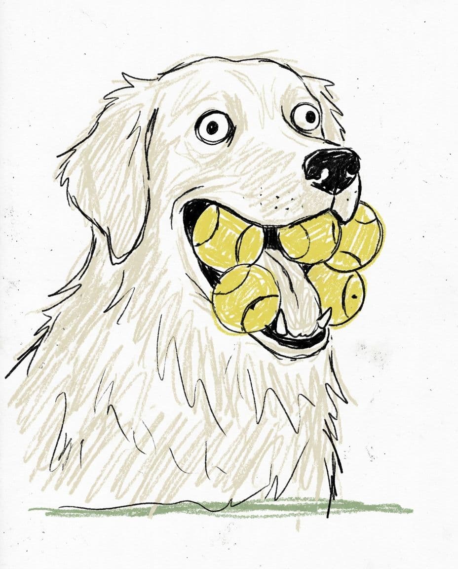 AI generated: white long-haired labrador holding four tennis balls in its mouth, playful exaggerated expression, f...