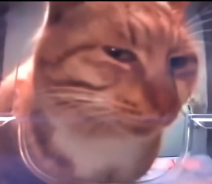 AI generated: Cum
