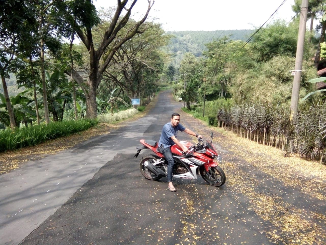 AI generated: realistic of a man riding a harley davidson motorcycle. movie scene, cinematic scene, sunset, road. ...