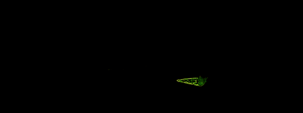 AI generated: Modern Melbourne cityscape, dark theme, night view, rain, water puddle reflections on streets, build...