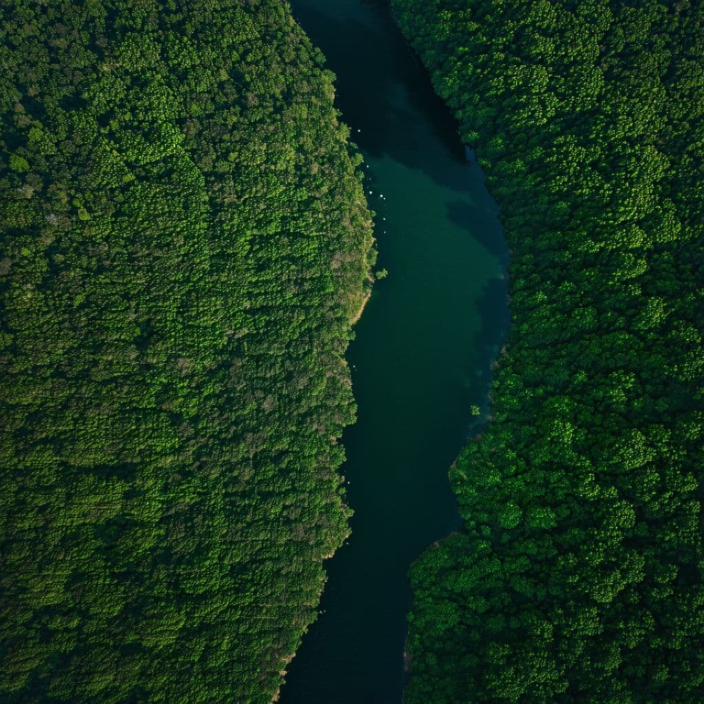 AI generated: vista aérea de uma floresta cortada por um rio brilhante durate a noite.