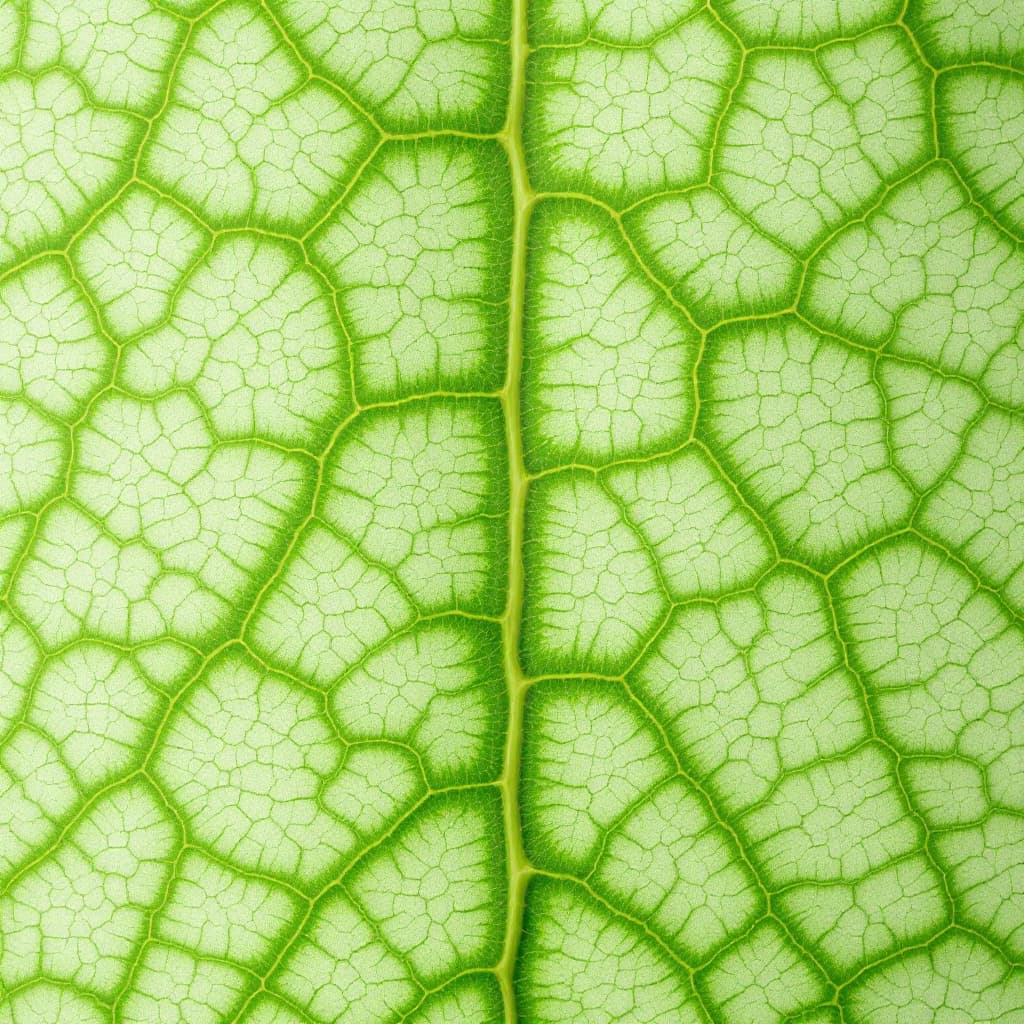 AI generated: A highly detailed close-up of a Green leaf with prominent, raised green veins spreading across its s...